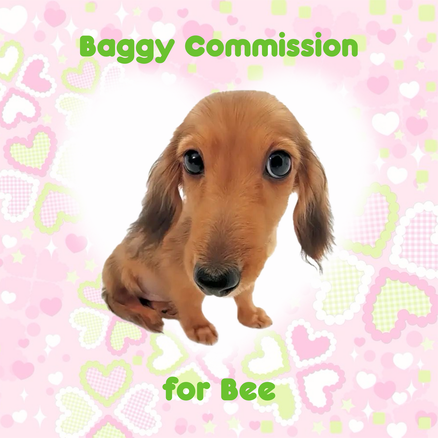 Baggy Commission for Bee