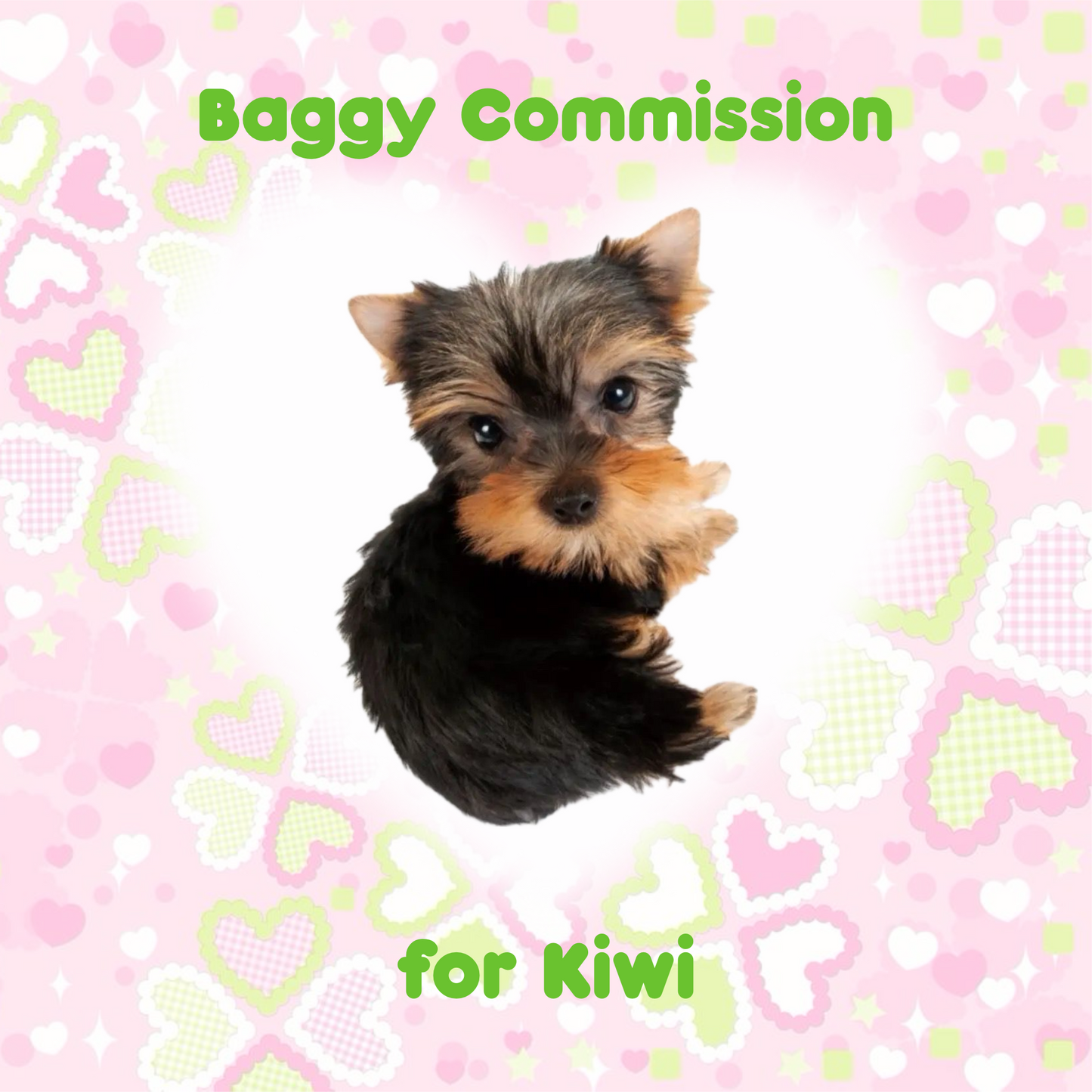 Baggy Commission for Kiwi