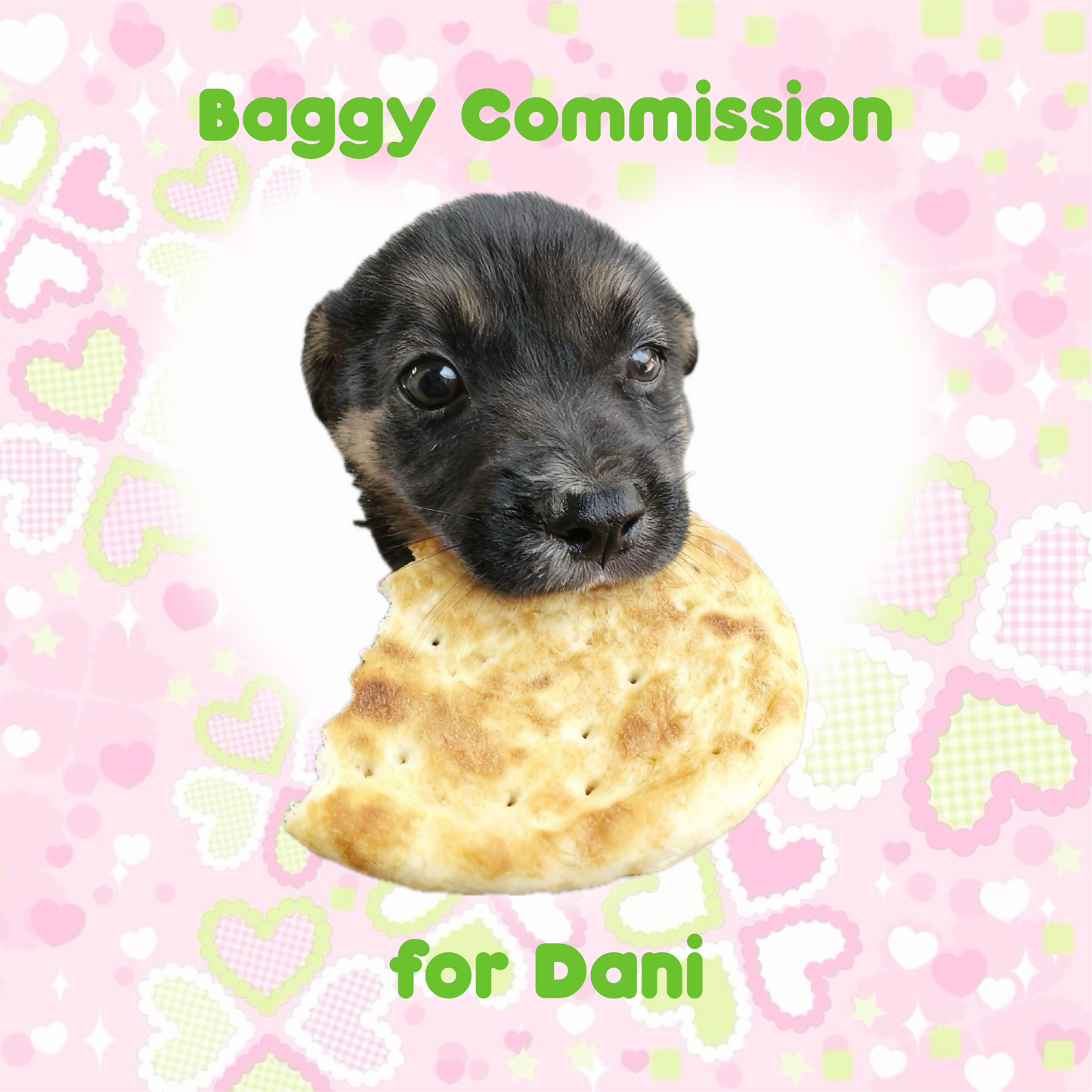 Baggy Commission for Dani