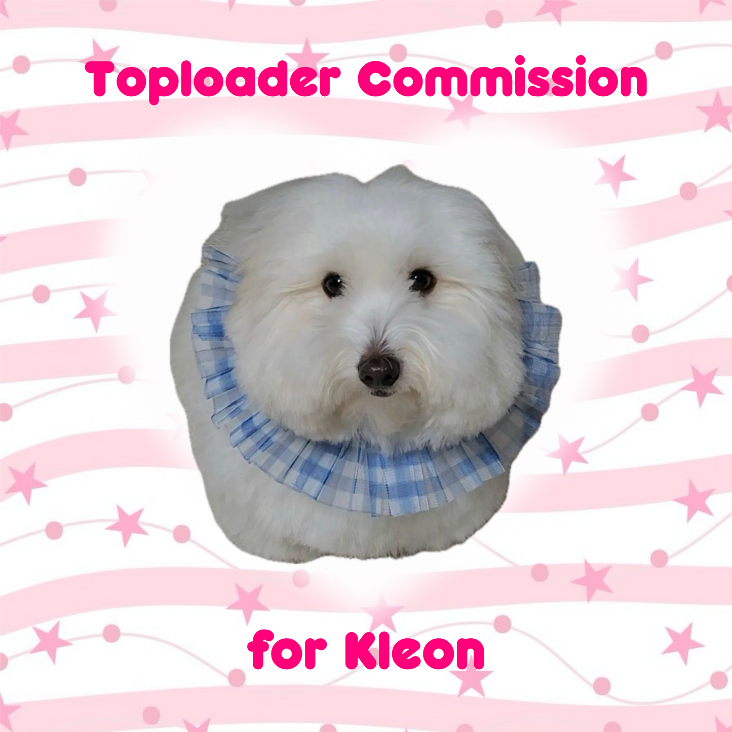 Toploader Commission for Kleon