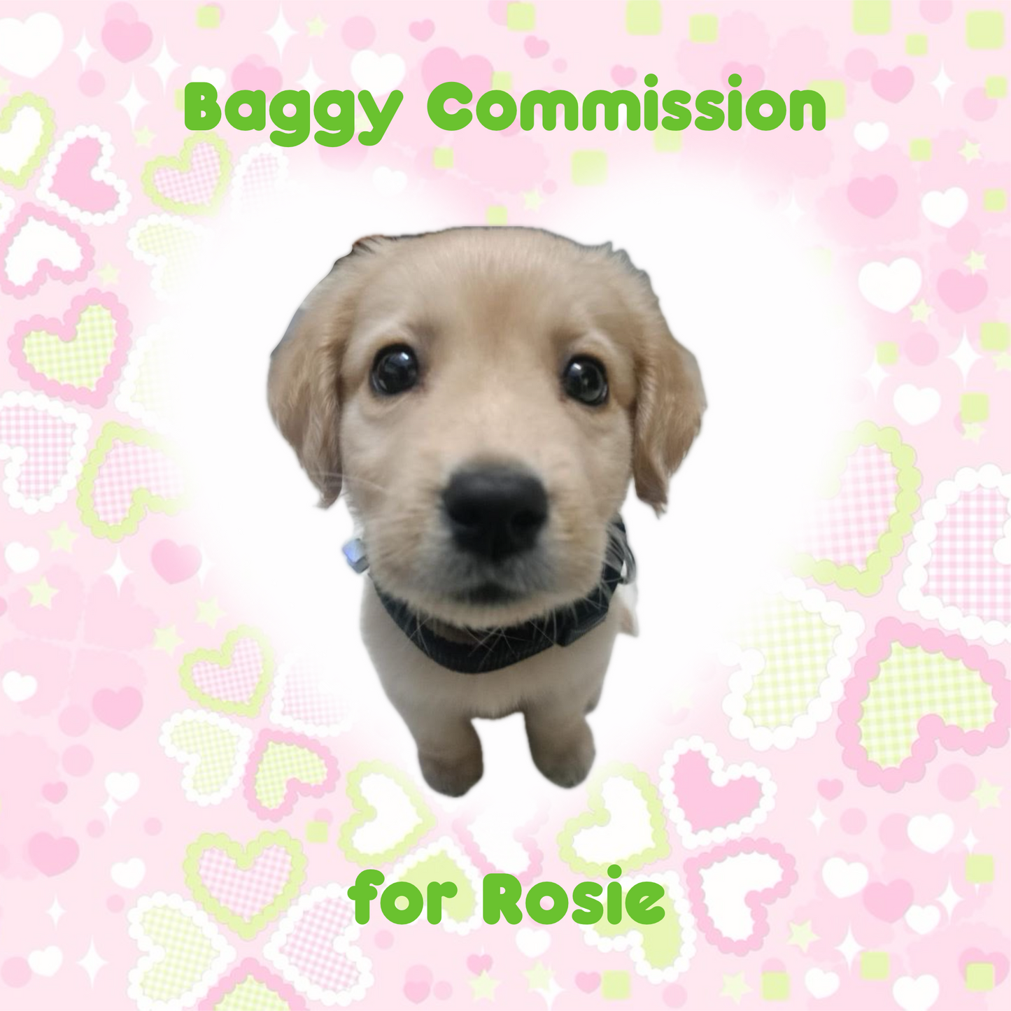 Trinket Baggy Commission For Rosie