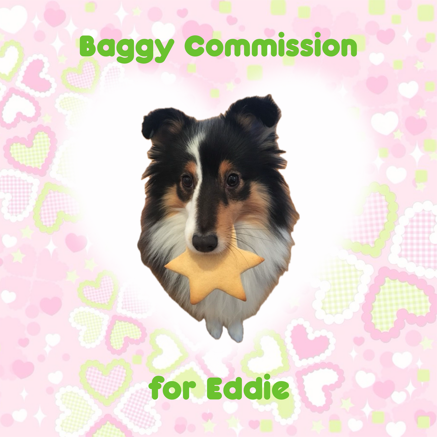 Trinket Baggy Commission for Eddie
