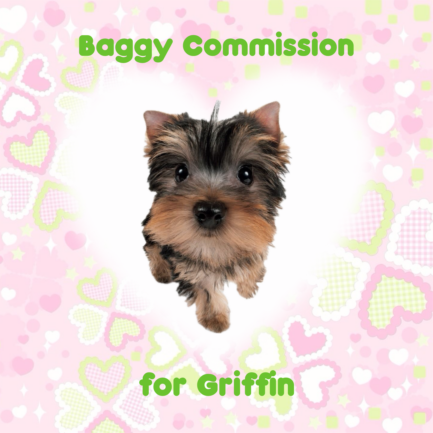 Baggy Commission for Griffin