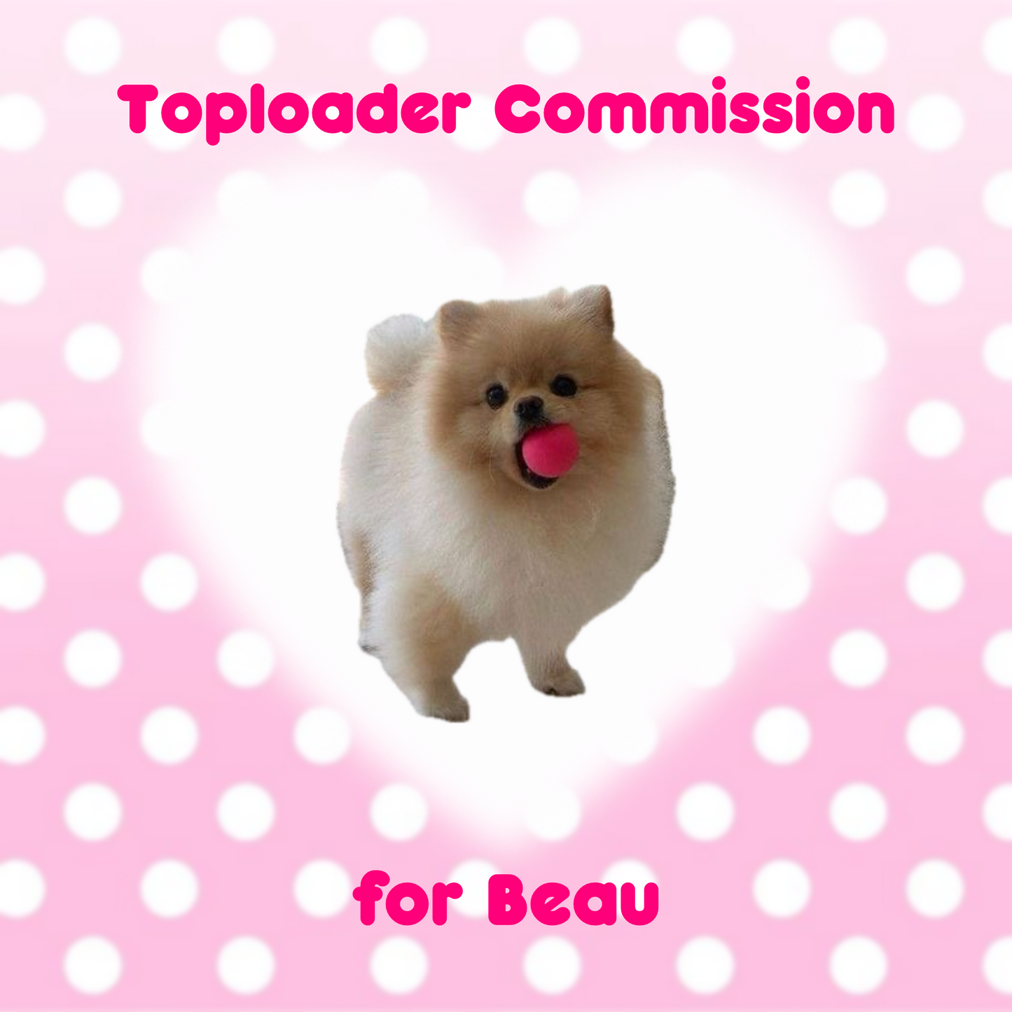 Toploader Commissions for Beau