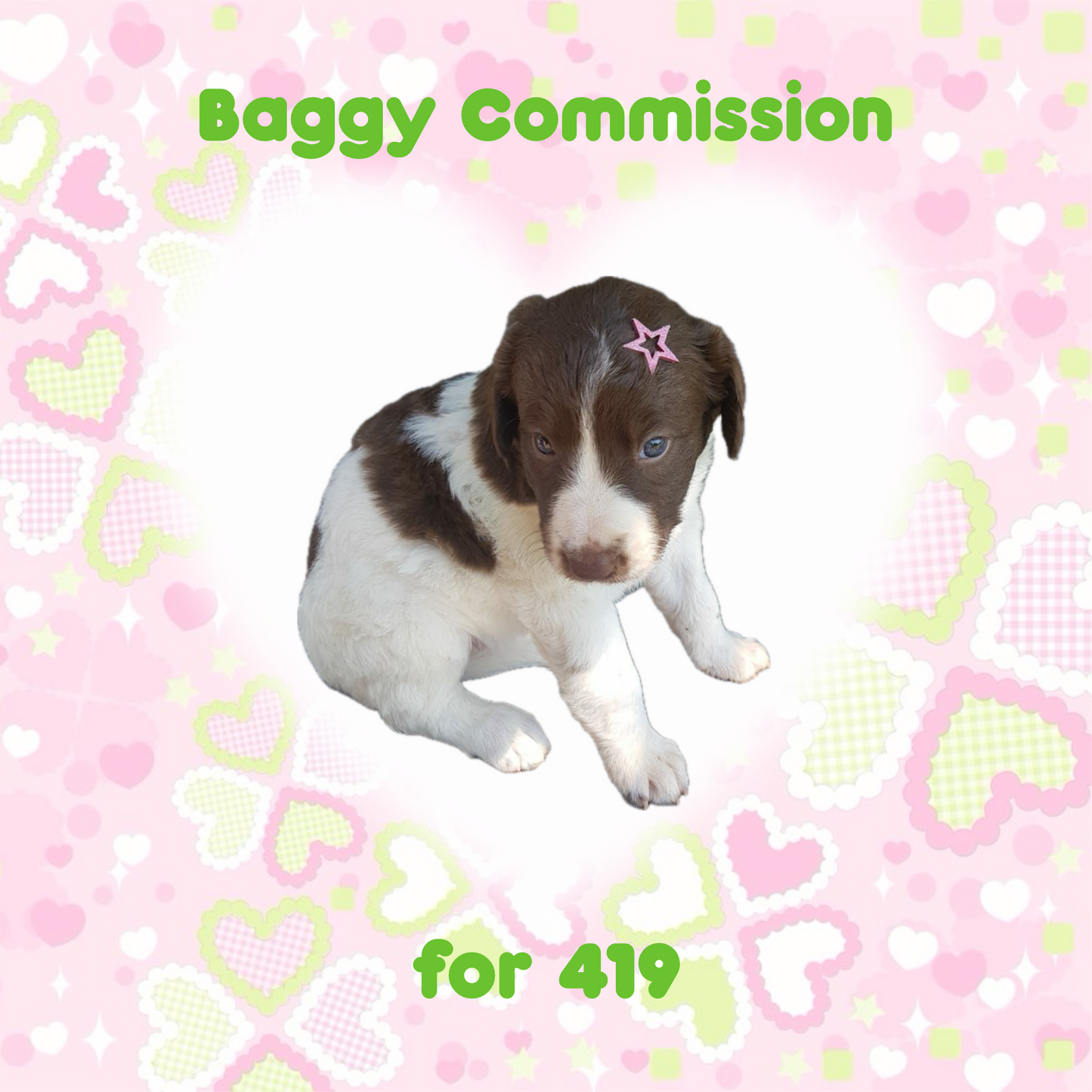 Baggy Commission for 419