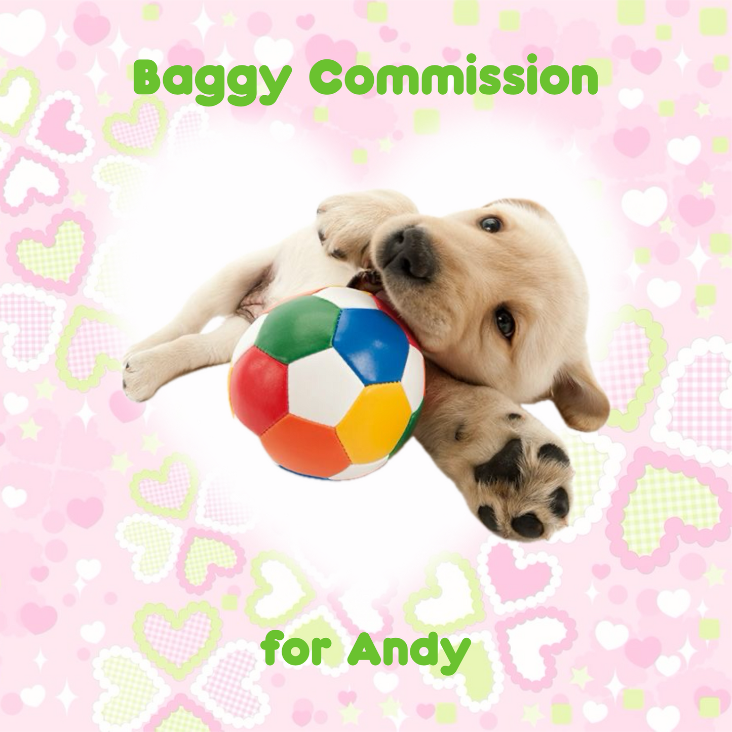 Trinket Baggy for Andy