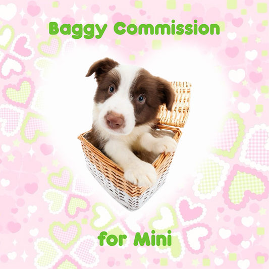 Trinket Baggy for Mini