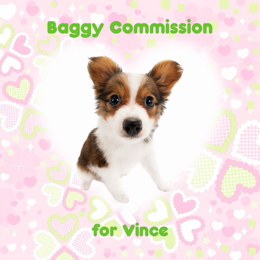 Trinket Baggy Commission for Vince