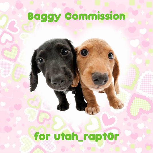 Trinket Baggy Commission for utah_rapt0r