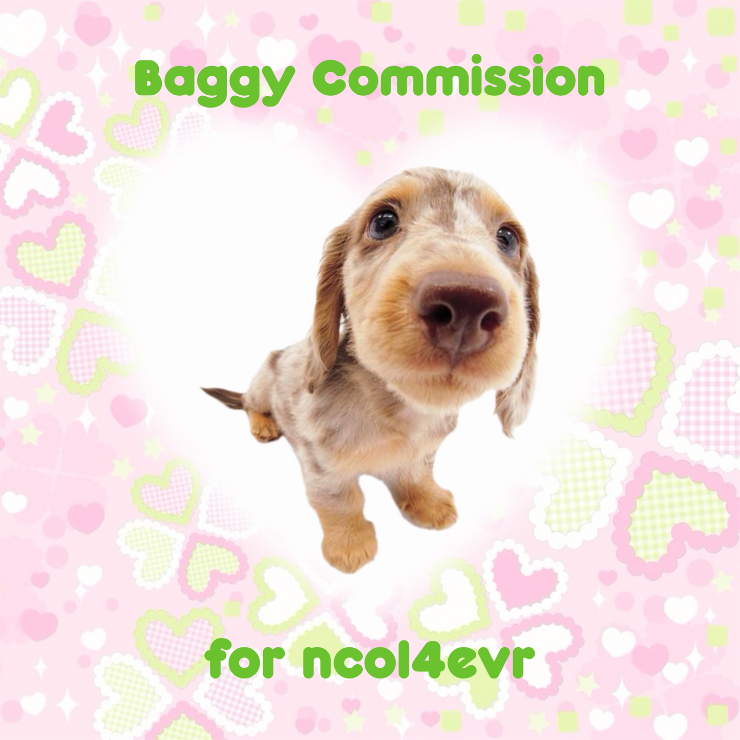 Trinket Baggy Commission for ncol4ever