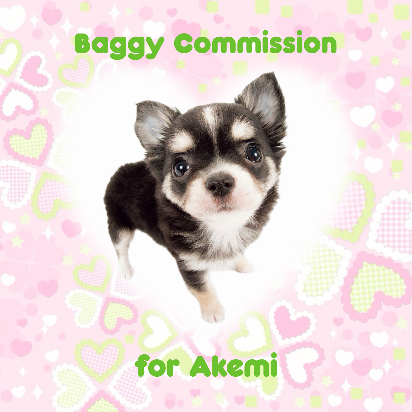 Baggy Commission for Akemi