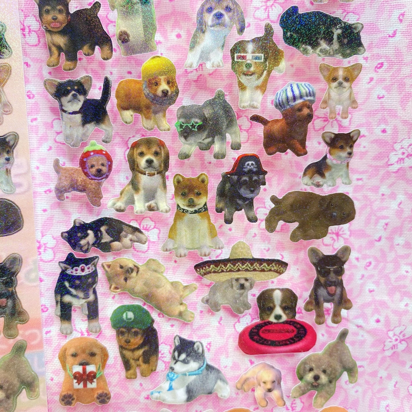 Nintendogs Deco Sticker Sheet