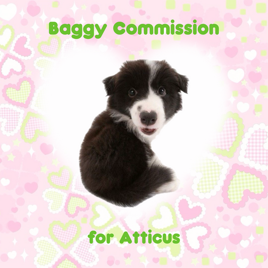 Trinket Baggy Commission for Atticus