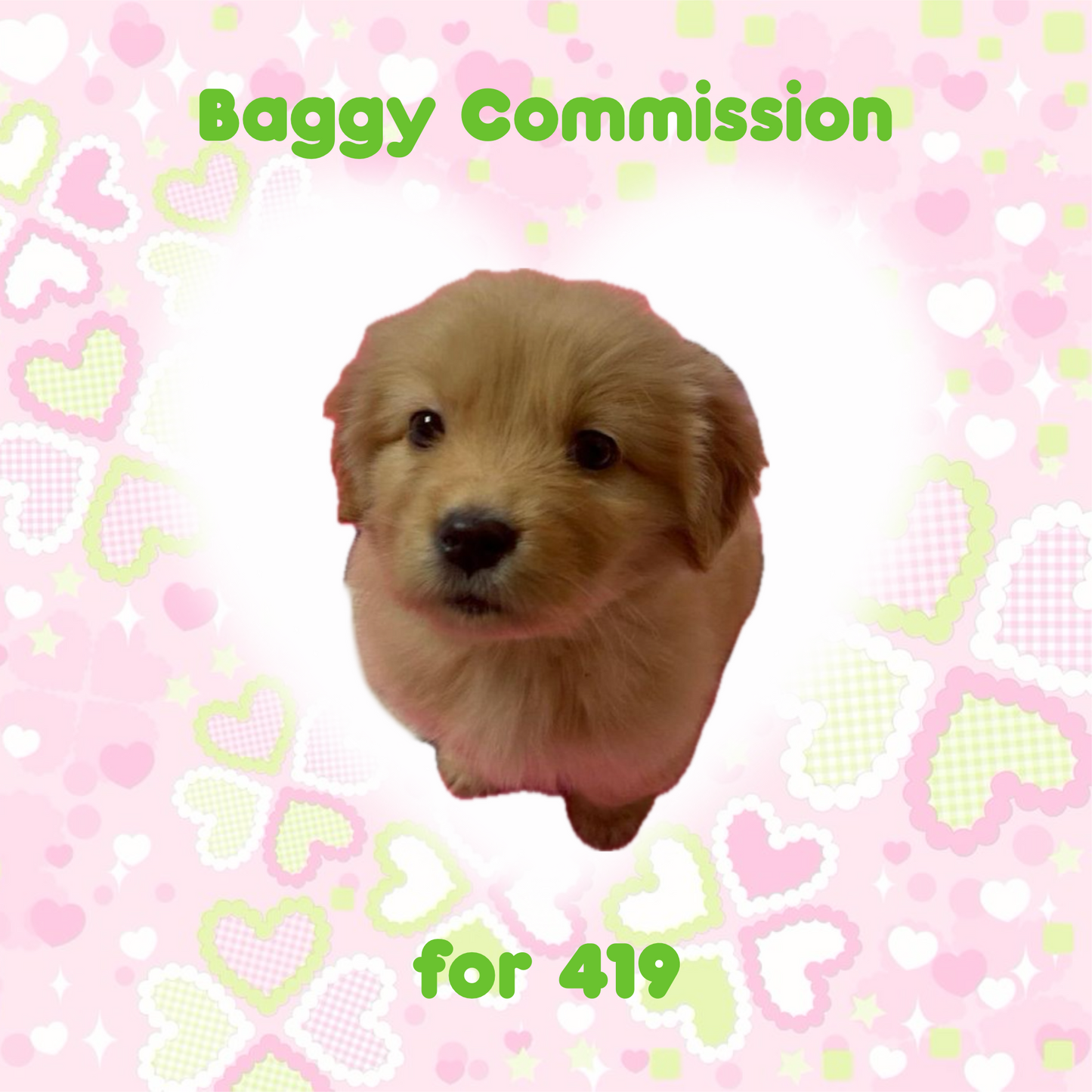Baggy Commission for 419