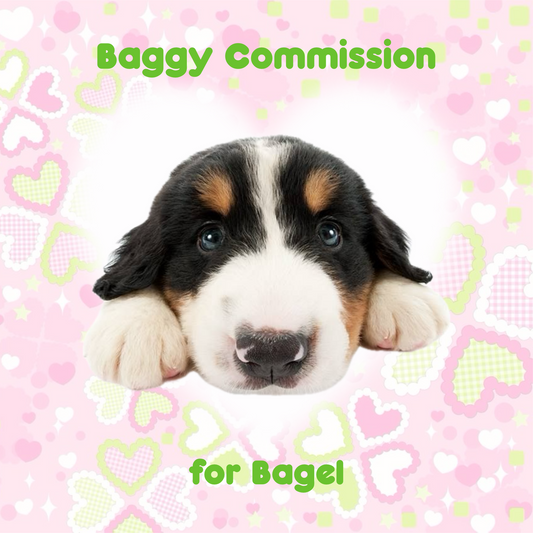 Trinket Baggy Commission for Bagel