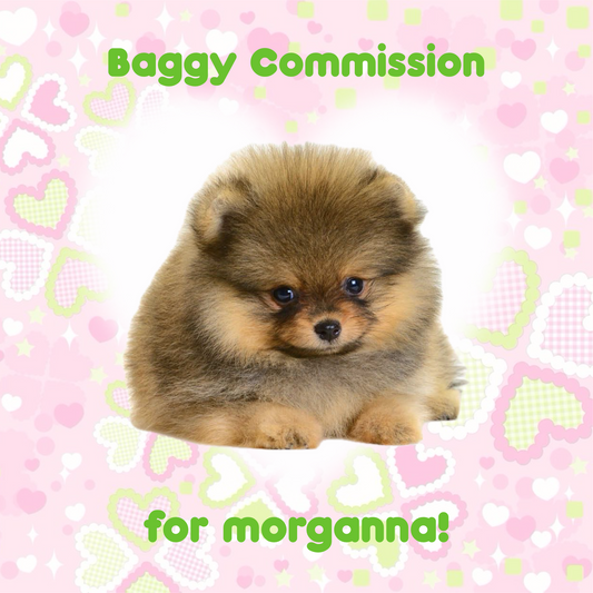 Trinket Baggy Commission for Morganna!