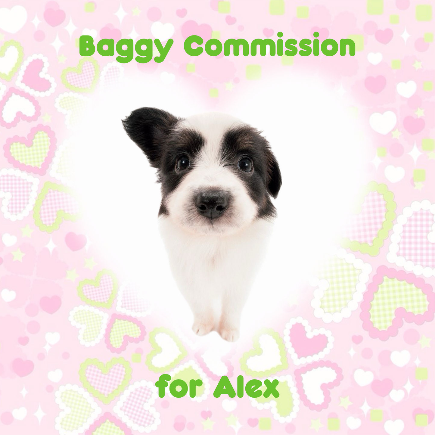 Baggy Commission for Alex