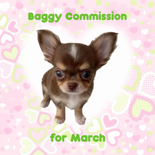 Baggy Commission for March