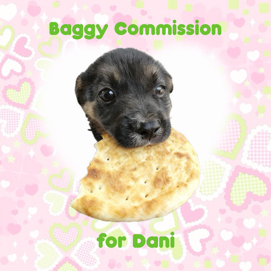 Baggy Commission for Dani