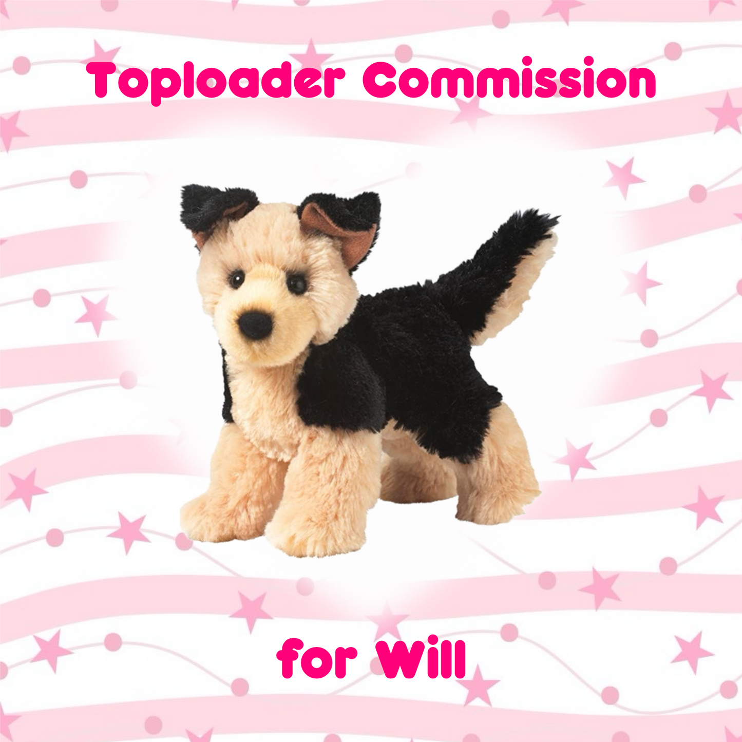 Toploader Commission for Will