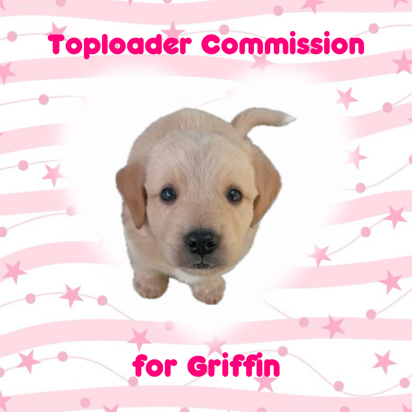 Toploader Commission for Griffin