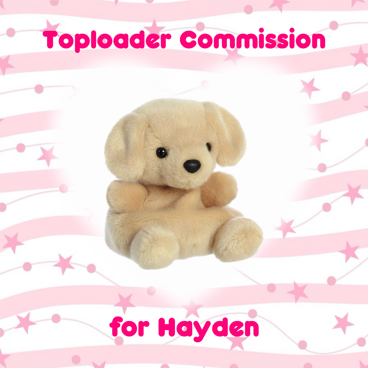 Toploader Commission for Hayden