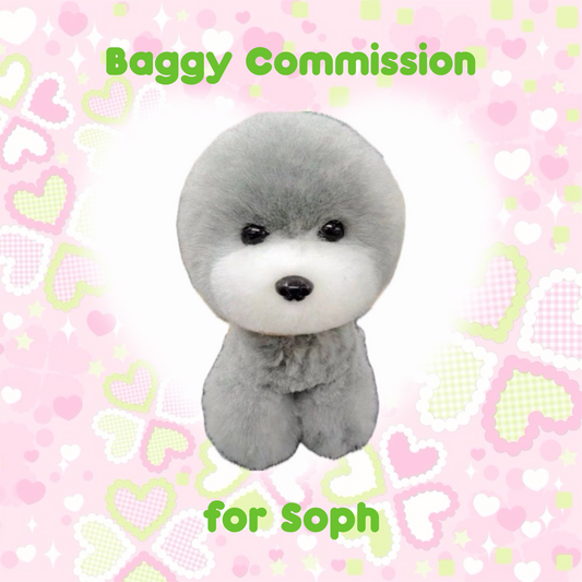 Trinket Baggy Commission for Soph