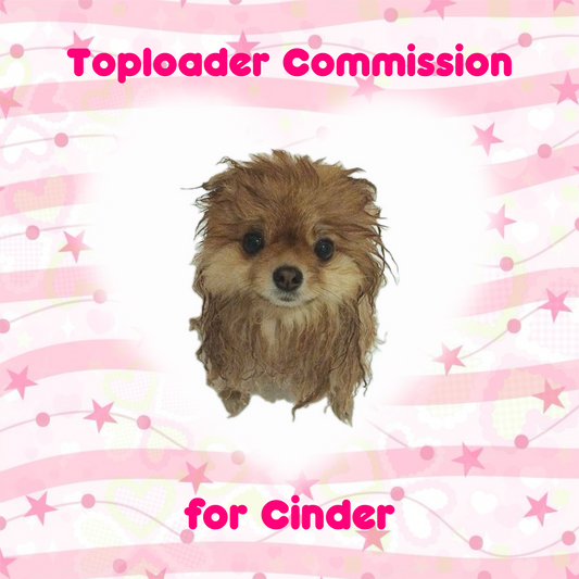 Toploader Commission for Cinder!