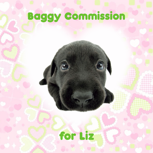 Baggy Commission for Liz