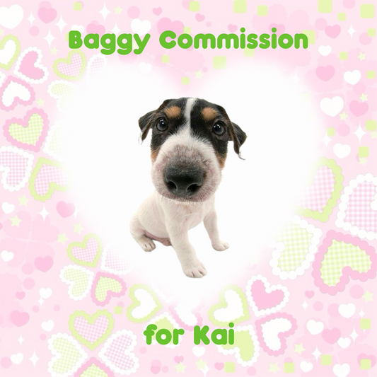 Trinket Baggy Commission for Kai